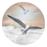 DAROUND 101 BZ Journey Home Clouds Birds Bronze